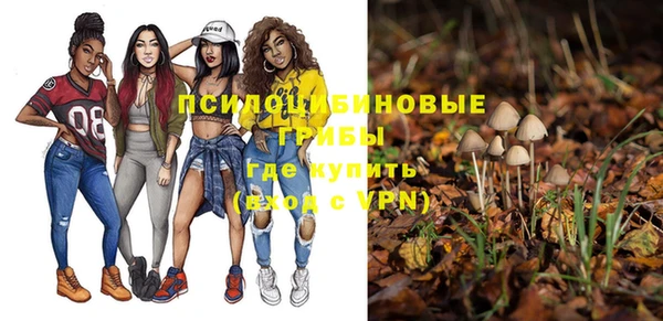 тгк Беломорск