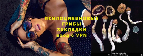 тгк Беломорск