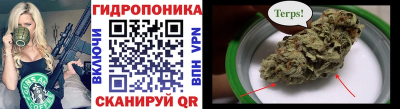 наркота  Котельнич  Бошки Шишки LSD WEED 
